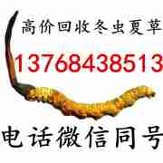 桂林高价回收冬虫夏草,桂林虫草回收价格